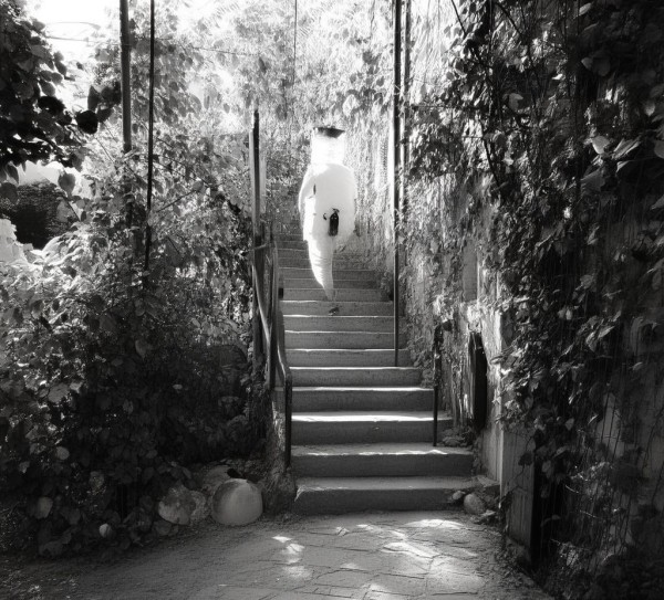 智慧农业科普工作，助力农业现代化的创新实践